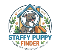 Staffy Puppy Finder